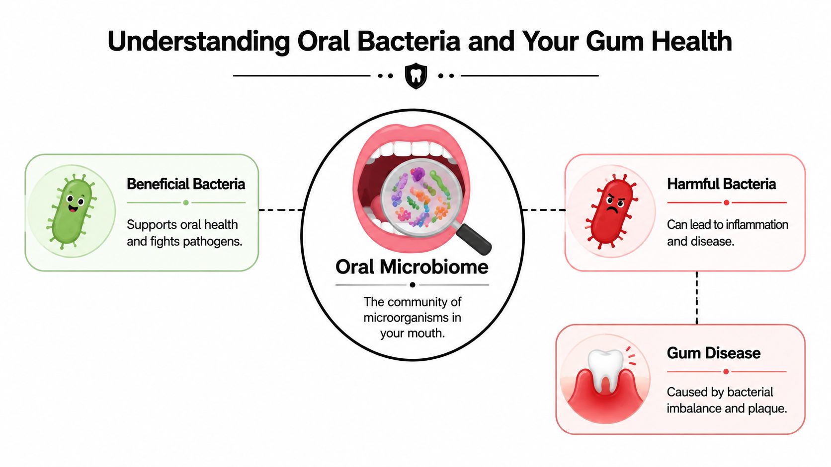 A visual infographic explaining the role of beneficial and harmful oral bacteria within the human oral microbiome.