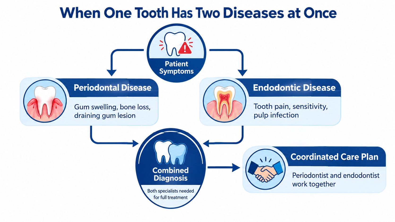 An infographic showing how periodontal and endodontic diseases are treated together through a coordinated care plan.